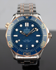 2022 Omega Seamaster Diver 300M 42MM Blue Dial Two-Tone Bracelet (210.20.42.20.03.002)